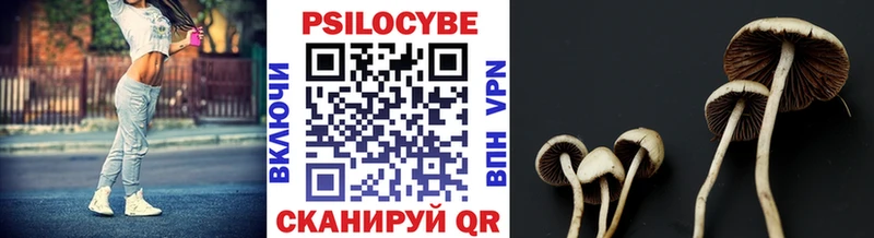 Галлюциногенные грибы мицелий  Семилуки 
